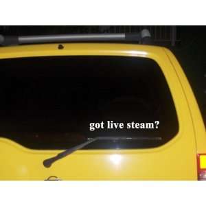  got live steam? Funny decal sticker Brand New Everything 