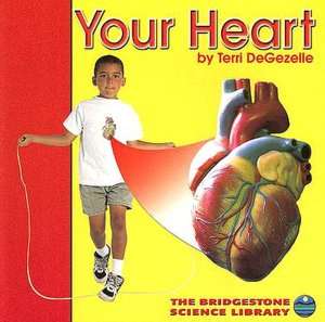 BARNES & NOBLE  Your Heart by Terri DeGezelle, Capstone Press 