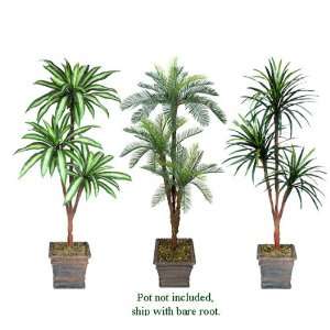   Head Artificial Trees: Dracaena + Cycas + Yucca, with No Pot,: Home