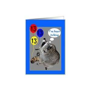    13th Birthday, raccoons itching with balloons Card: Toys & Games