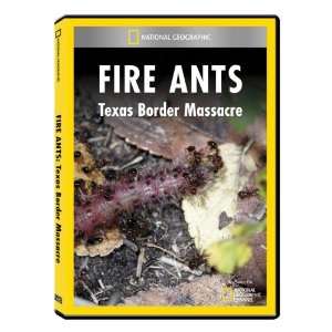  National Geographic Fire Ants: Texas Border Massacre DVD 