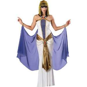  Jewel of the Nile Elite Adult Costume Health & Personal 