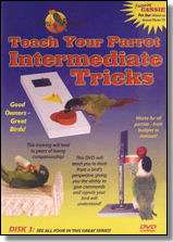 Teach Your Parrot DVD #3 World Famous Tani Robar  