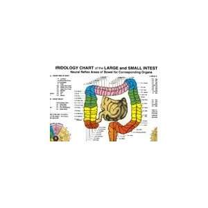  Bowel Reflex Points   Bilingual