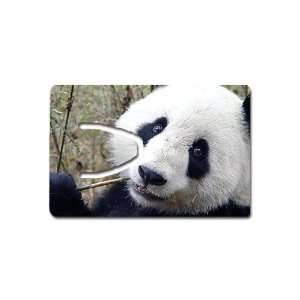  Panda Bookmark Great Unique Gift Idea: Everything Else