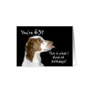 Brittany Spaniel Birthday 63 Card