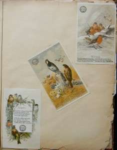 Antique Victorian Scrapbook Album Trade Cards Chicago Illinois IL 