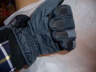 Swany Waterproof/Thinsulate Ski Gloves  