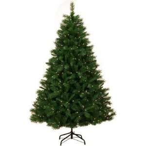   Tree   7.5 Pre Lit Dunhill Fir Tree, 700 Clear Lights: Home & Kitchen