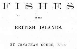 PROVENANCE THE HISTORY OF THE FISHES OF THE BRITISH ISLANDS
