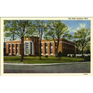  Reprint Saginaw MI   City Hall. 5BH65 1945: Home & Kitchen