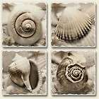 HG05 008 TRANQUIL SHELLS SEA HIGHLAND GRAPHIC TUMBLED STONE COASTERS