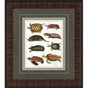  Paragon Oken Animals Art   2/pk: Kitchen & Dining