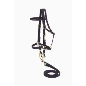   Outrider Collection Nylon Bridle/Halter Combination: Sports & Outdoors