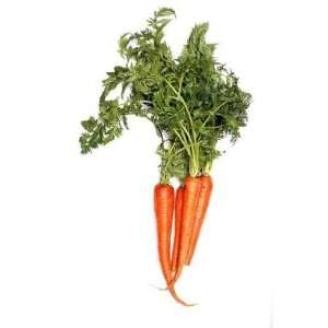  Carrots on White Background   Peel and Stick Wall Decal by 