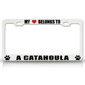 MY HEART BELONGS TO A CATAHOULA Dog Pet Steel Metal Auto License Plate 