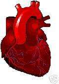 EKG ECG Cardiac Heart Sounds Training DVD Practice Exam  