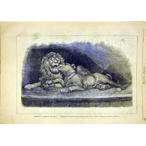   National Exhibition Milan Italy Lions Sarti Print 1881