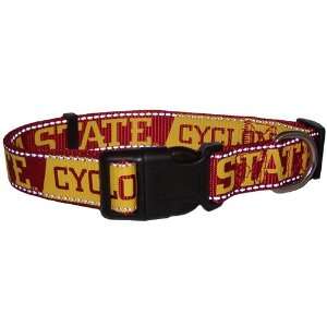    Iowa State Cyclones Red Gold Small Dog Collar: Sports & Outdoors
