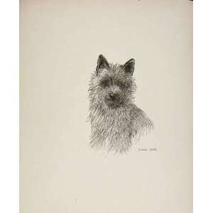  RogueS Gallery Dog Drawing Sketch Antique Print C1939 