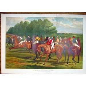   Derby Races Racehorse Horse Sturgess Colour Print 1883