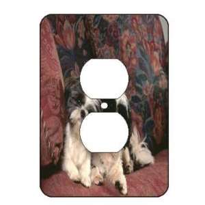  Adorable Shih Tzus Light Switch Outlet Covers Office 