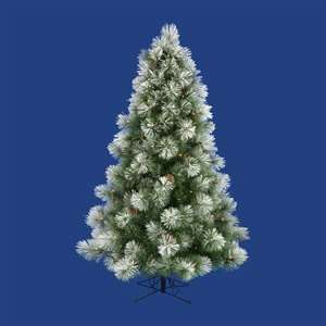   Christmas Tree. Big and Bold Frosted Scotch Pine Full Pre lit Tree