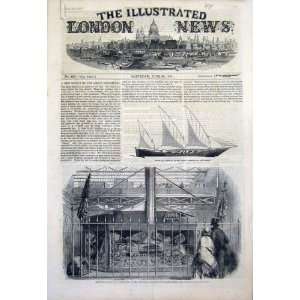  Great Exhibition Jewels Sampan Model Wellington 1851: Home 