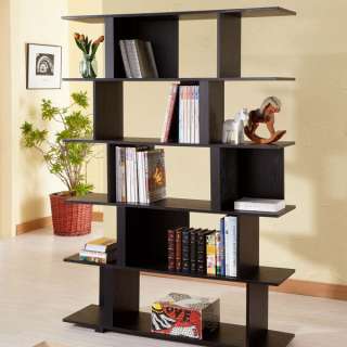 Modern Style Matte Black Finish Bookcase  