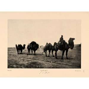  1926 Camels Caravan Desert Iran Persia Halftone Print 
