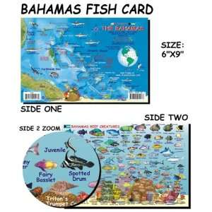 Franko Maps Grand Bahamas Creature Identification Card  