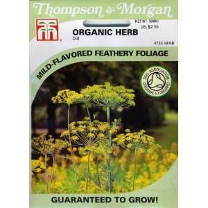   & Morgan 4720 Organic Herb Dill Seed Packet Patio, Lawn & Garden