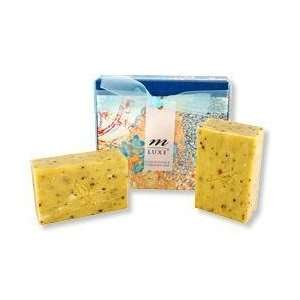    Mudlark Papers Kiko Memento Soap Set soap box: Home & Kitchen