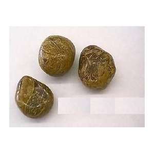  Polished Hieroglyphic Stones 15 Pieces Mineral Rock 