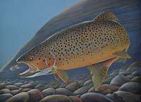 Trout Fish Print Brown by artist Doug Walpus  