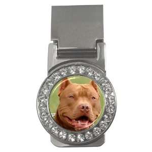  American Pit Bull Terrier Money Clip CZ W0014: Everything 