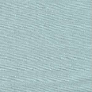     Tafetta in Ice Blue by New Arrivals Inc Arts, Crafts & Sewing