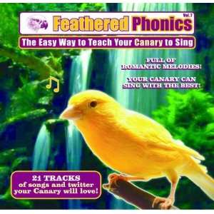  Feathered Phonics Volume 7 (Quantity of 3) Health 