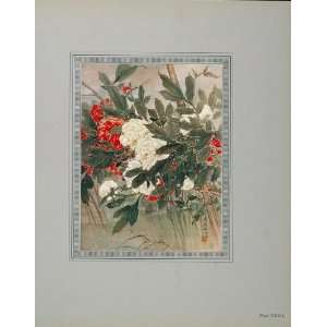  1919 Peonies K. Ishibashi Peony Botanical Color Print 