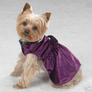  Luxury Velvet Plum Dog Dress MEDIUM: Kitchen & Dining