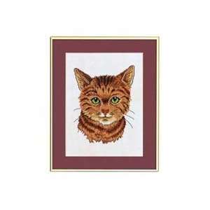  Red Tabby Cat Counted Cross Stitch Kit: Arts, Crafts 