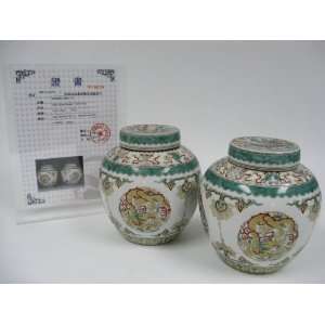 Pair Chinese Qing Dynasty Porcelain Pots 