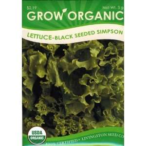 Lettuce   Organic Black Seeded: Patio, Lawn & Garden