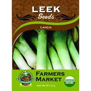  Organic Lancia Leek Seeds: Patio, Lawn & Garden