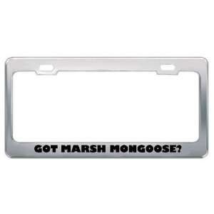  Got Marsh Mongoose? Animals Pets Metal License Plate Frame 