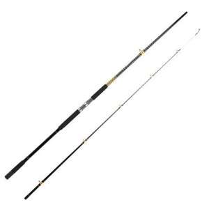   Shakespeare Ugly Stik 12 Saltwater Bigwater Rod: Sports & Outdoors