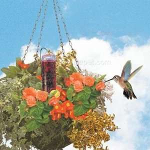  Perky Pet Hummingbird Feeder for planter: Pet Supplies