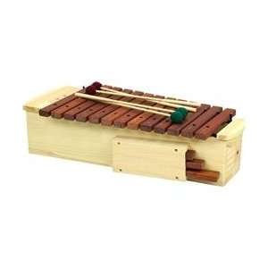  Rhythm Band Rb9666 Diatonic Xylophone: Musical Instruments