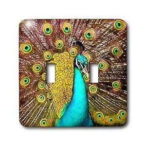  Birds   Colorful Peacock   Light Switch Covers   double 