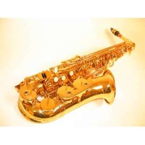   Student Eb Alto Sax Saxophone, School Band: Musical Instruments
